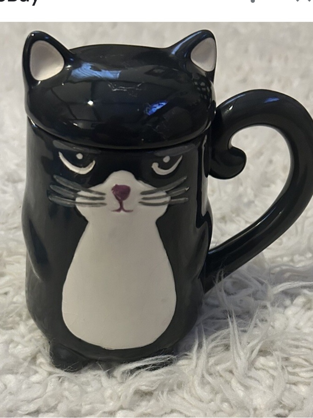 50%offw❤️ Rare Feline streamline Grumpy Mornings Cat Mug with Lid